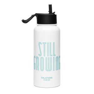Still Growing Stainless Steel Water Bottle with a Straw Lid